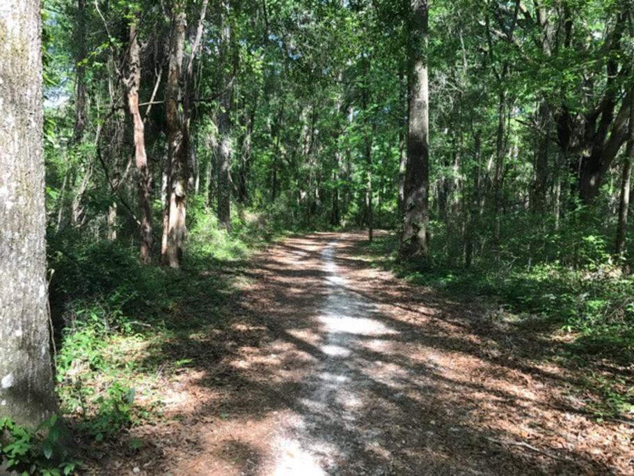 Apartament Town & Country Hideaway - 1Br/1Ba, 20 Min Famu/Fsu Tallahassee Zewnętrze zdjęcie